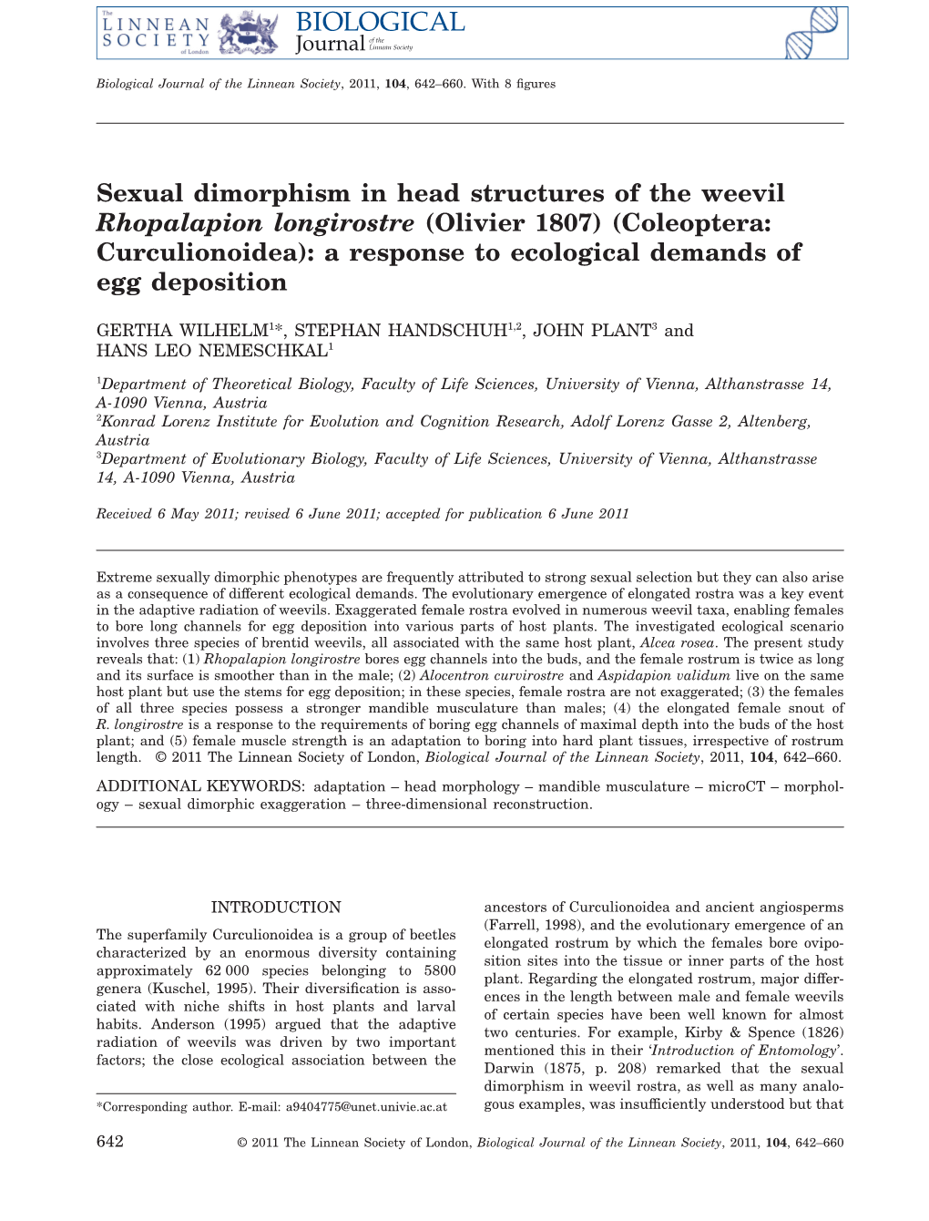 Sexual Dimorphism in Head Structures of the Weevil Rhopalapion Longirostre