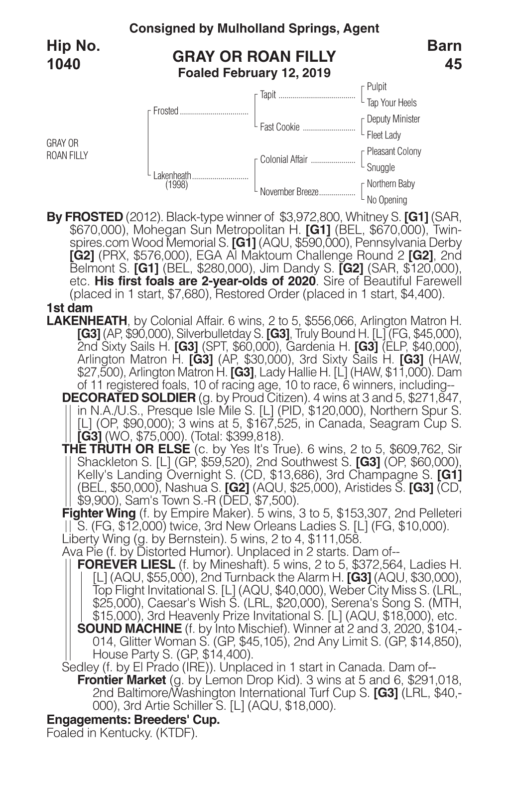 GRAY OR ROAN FILLY Barn 45 Hip No. 1040