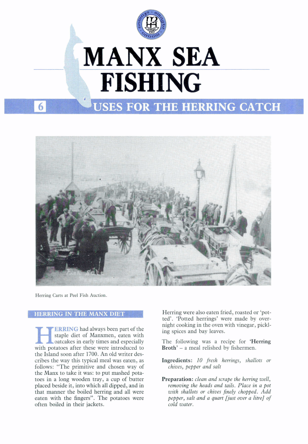 Uses of the Herring Catch