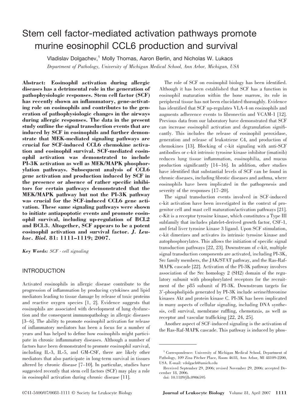 Stem Cell Factor&#X2010;Mediated Activation Pathways Promote