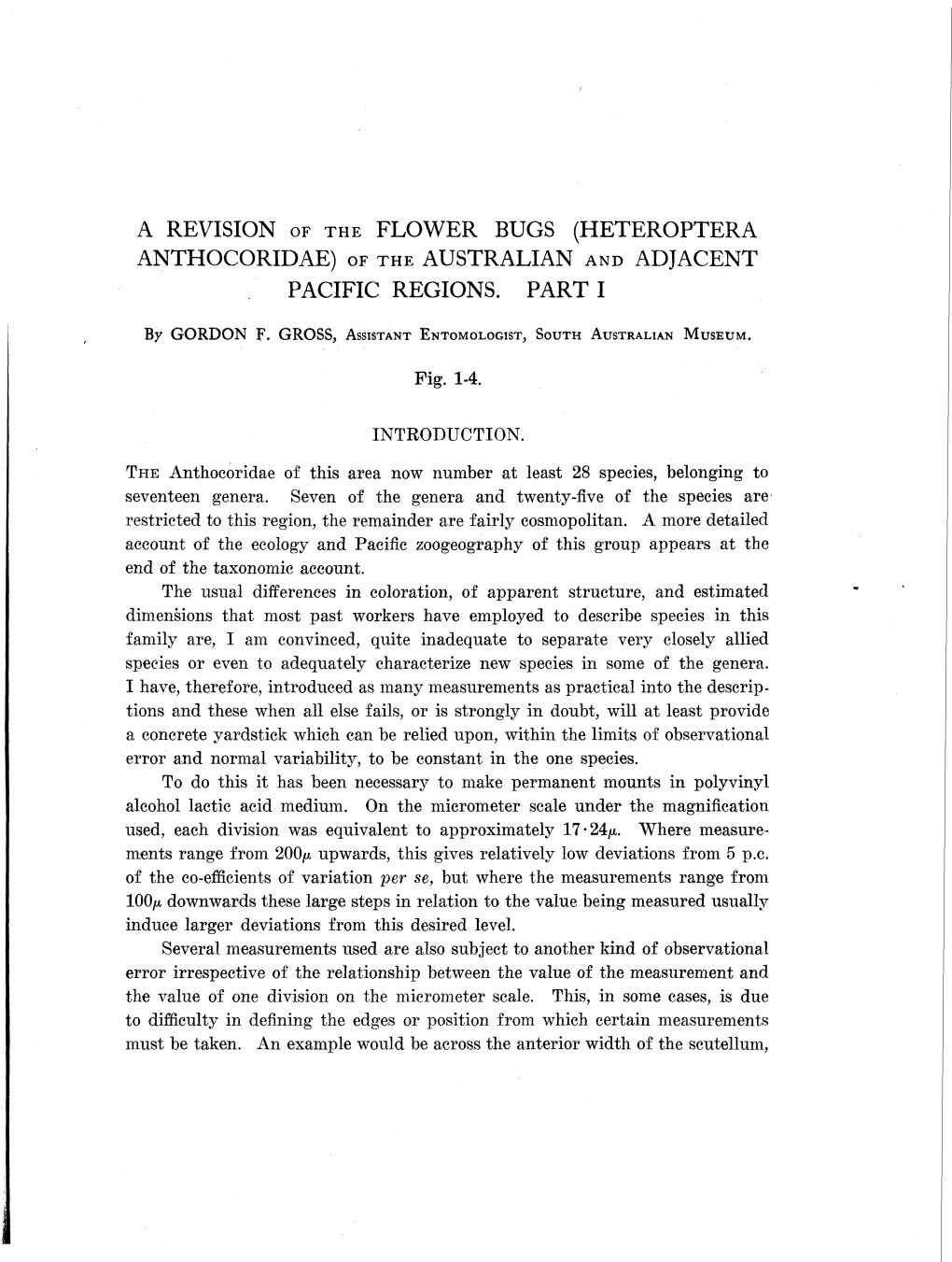 A Revision of the Flower Bugs (Heteroptera Anthocoridae) of the Australian and Adjacent Pacific Regions