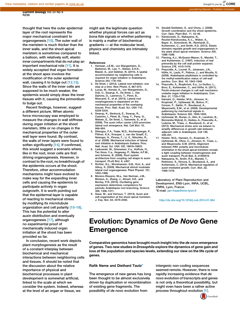 Evolution: Dynamics of De Novo Gene Emergence