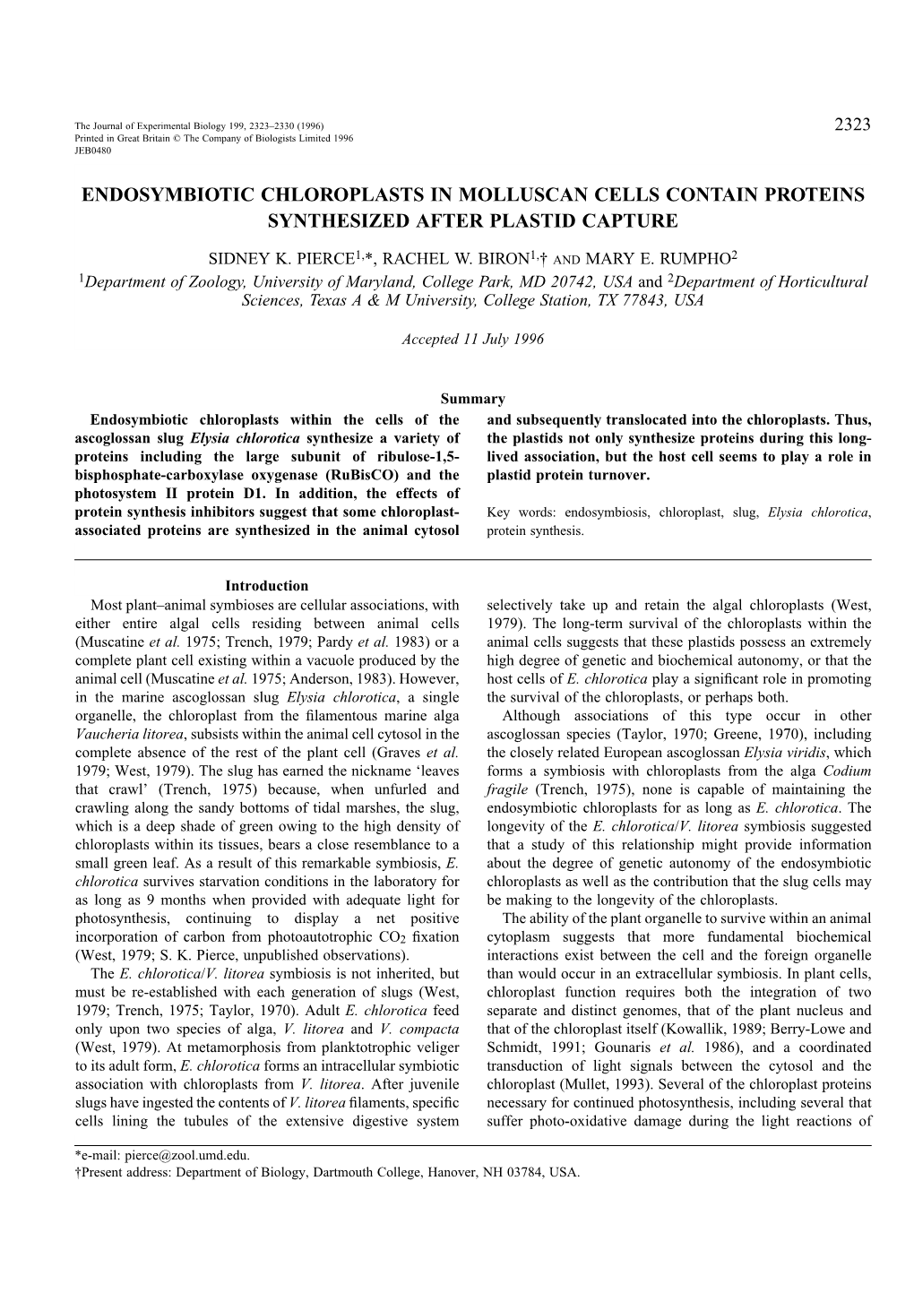 Endosymbiotic Chloroplasts in Molluscan Cells Contain Proteins Synthesized After Plastid Capture