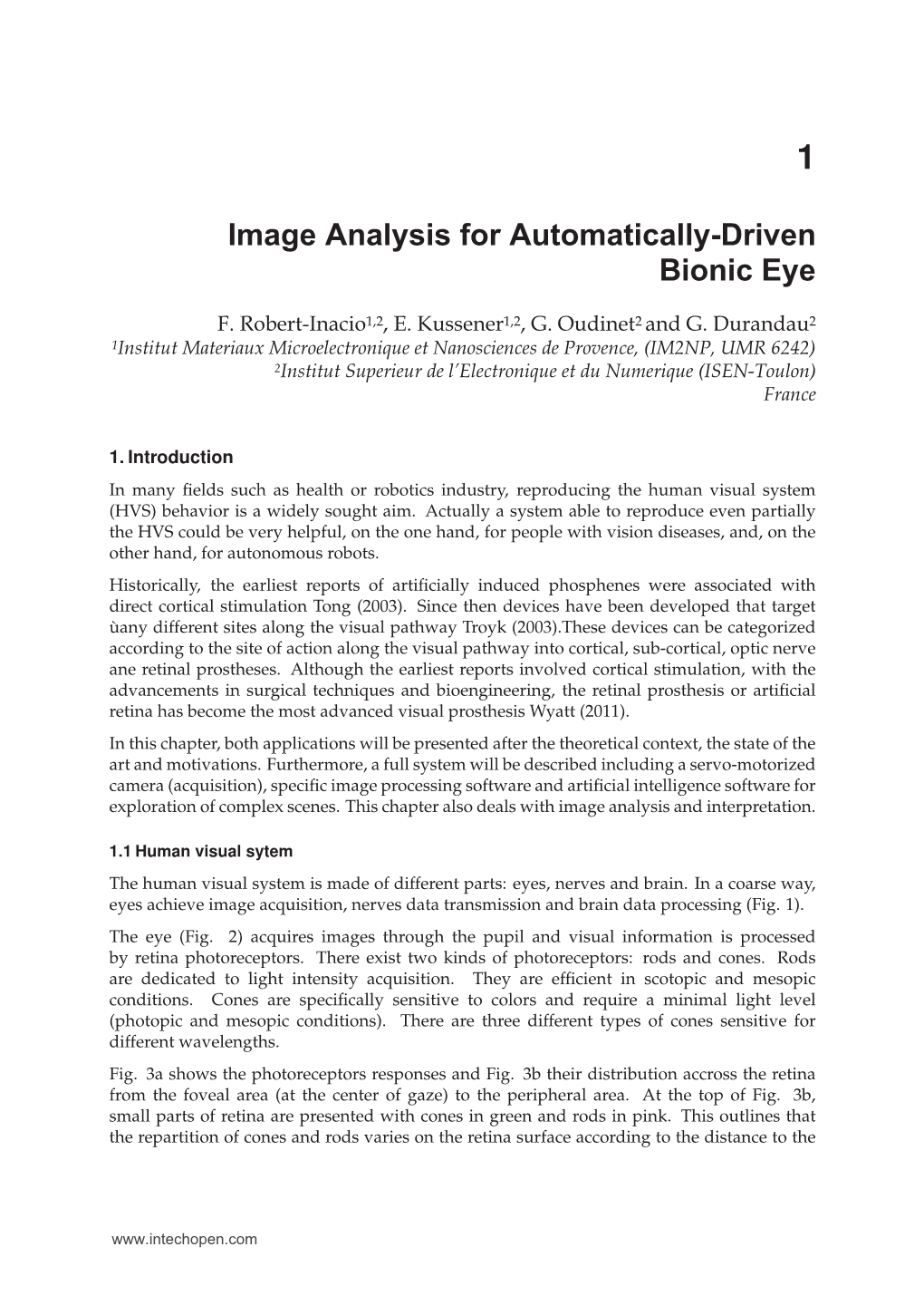 Image Analysis for Automatically-Driven Bionic Eye