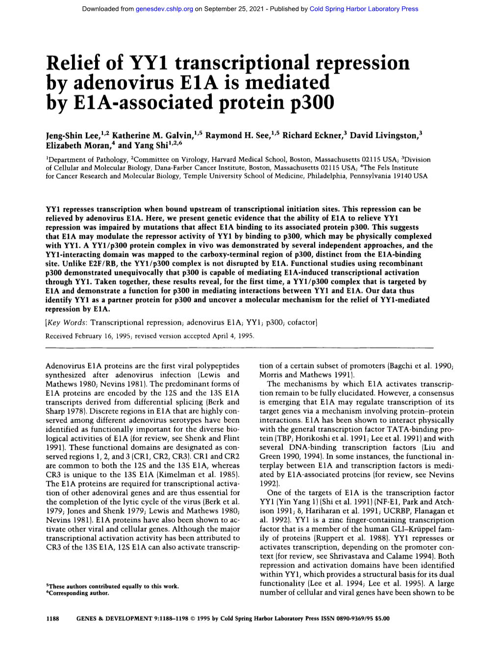 Relief of YY1 Transcriptional Repression by Adenovirus E1A Is Mediated by E1A-Associated Protein P300