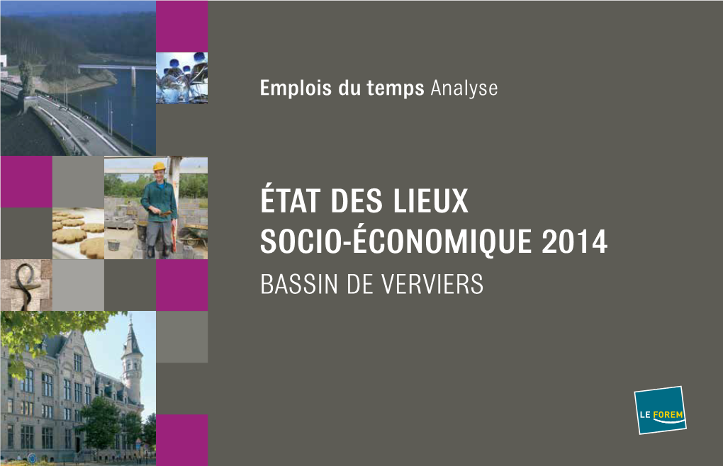 Etat Des Lieux Socio-Économique 2014 Bassin De Verviers