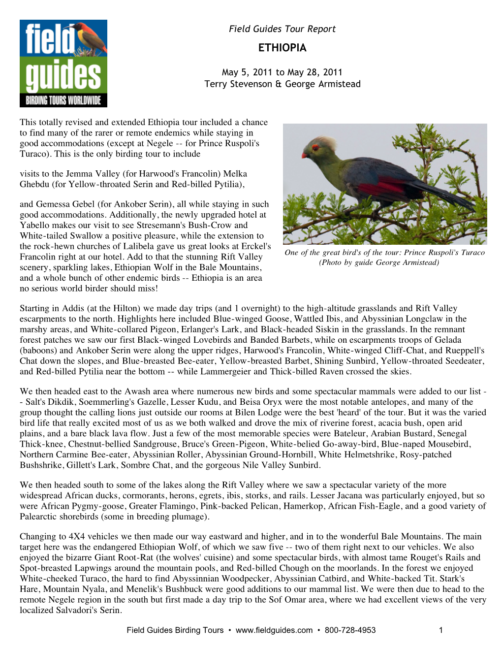 Field Guides Birding Tours: Ethiopia