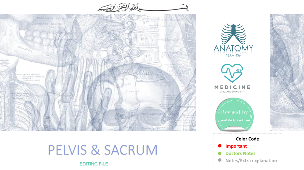 7-Pelvis Nd Sacrum.Pdf