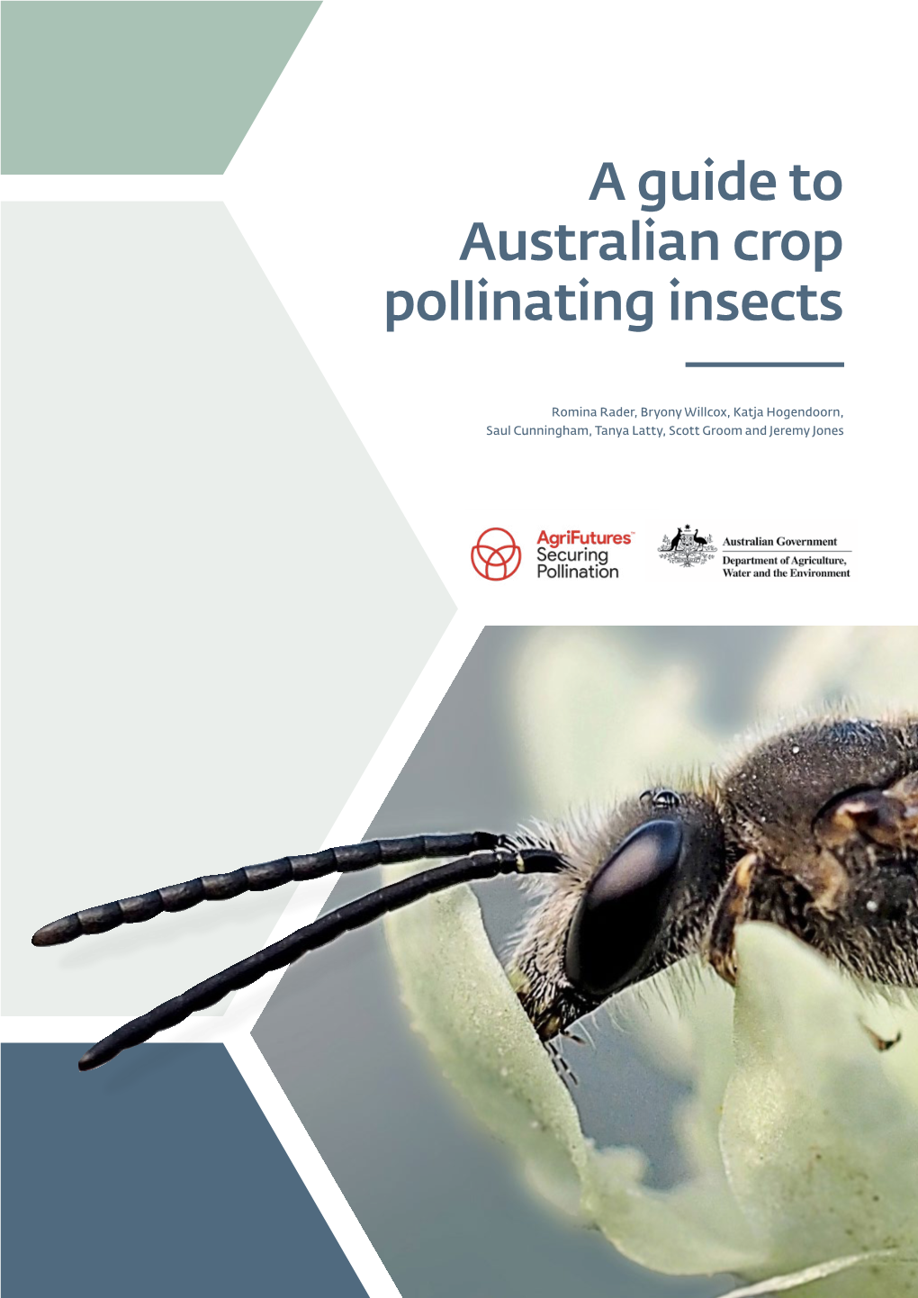 A Guide to Australian Crop Pollinating Insects