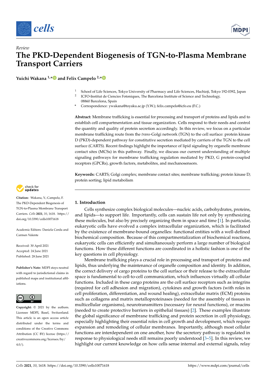 The PKD-Dependent Biogenesis of TGN-To-Plasma Membrane Transport Carriers