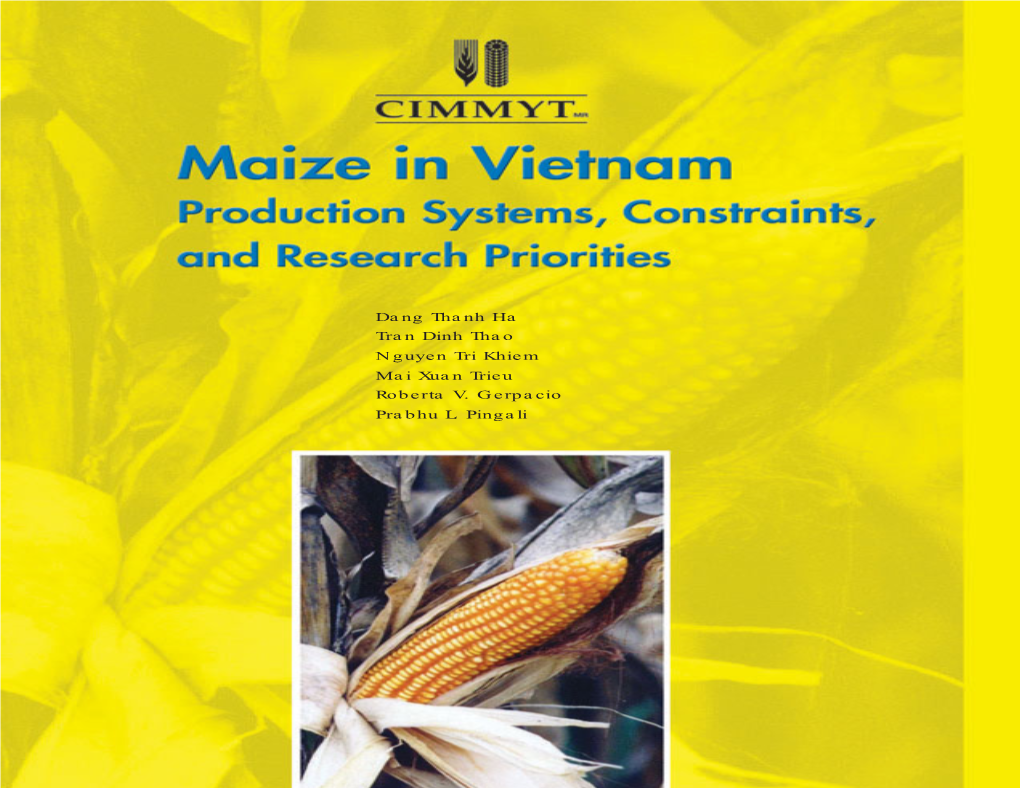 Maize in Vietnam. Production Systems, Constraits, and Research Priorities