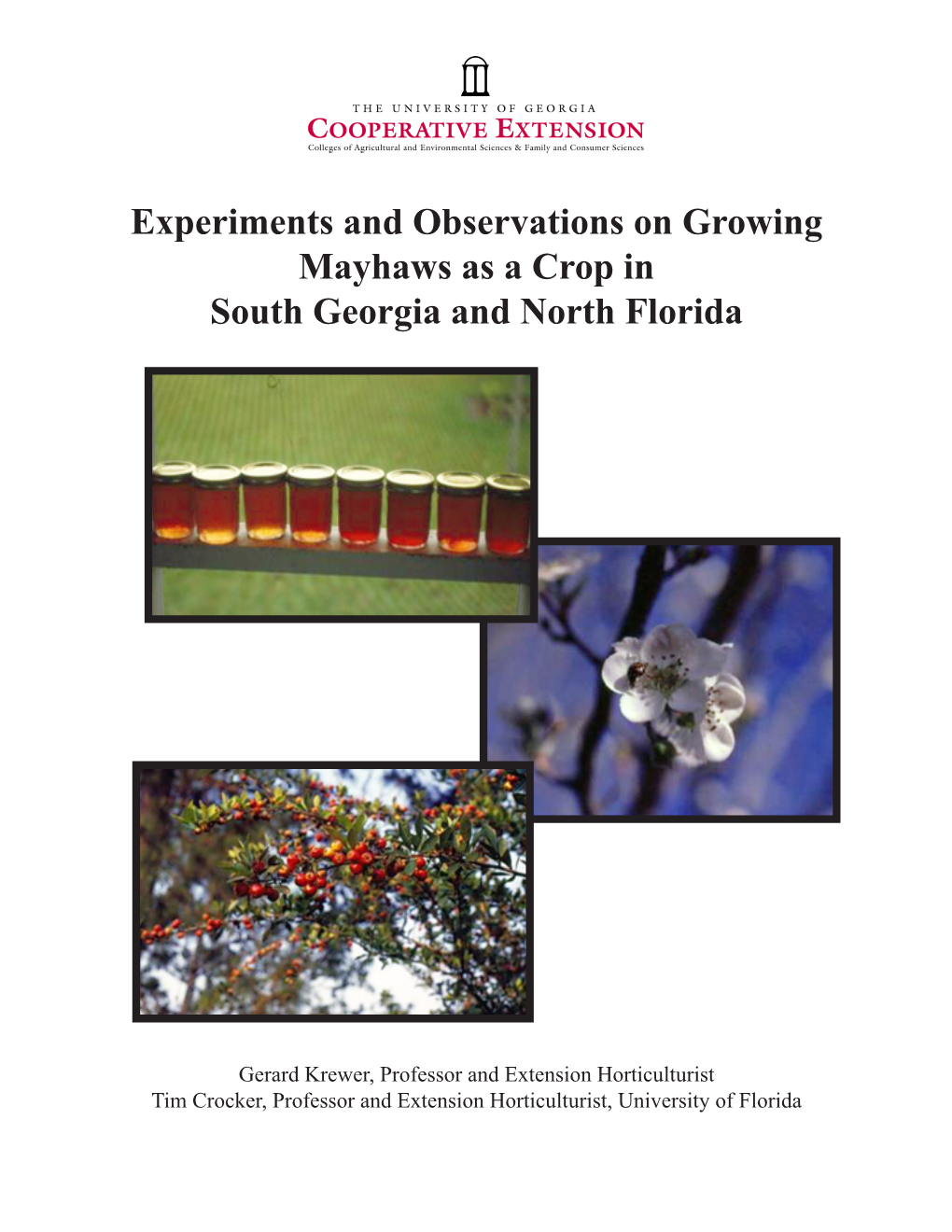 Experiments and Observations on Growing Mayhaws As a Crop in South Georgia and North Florida