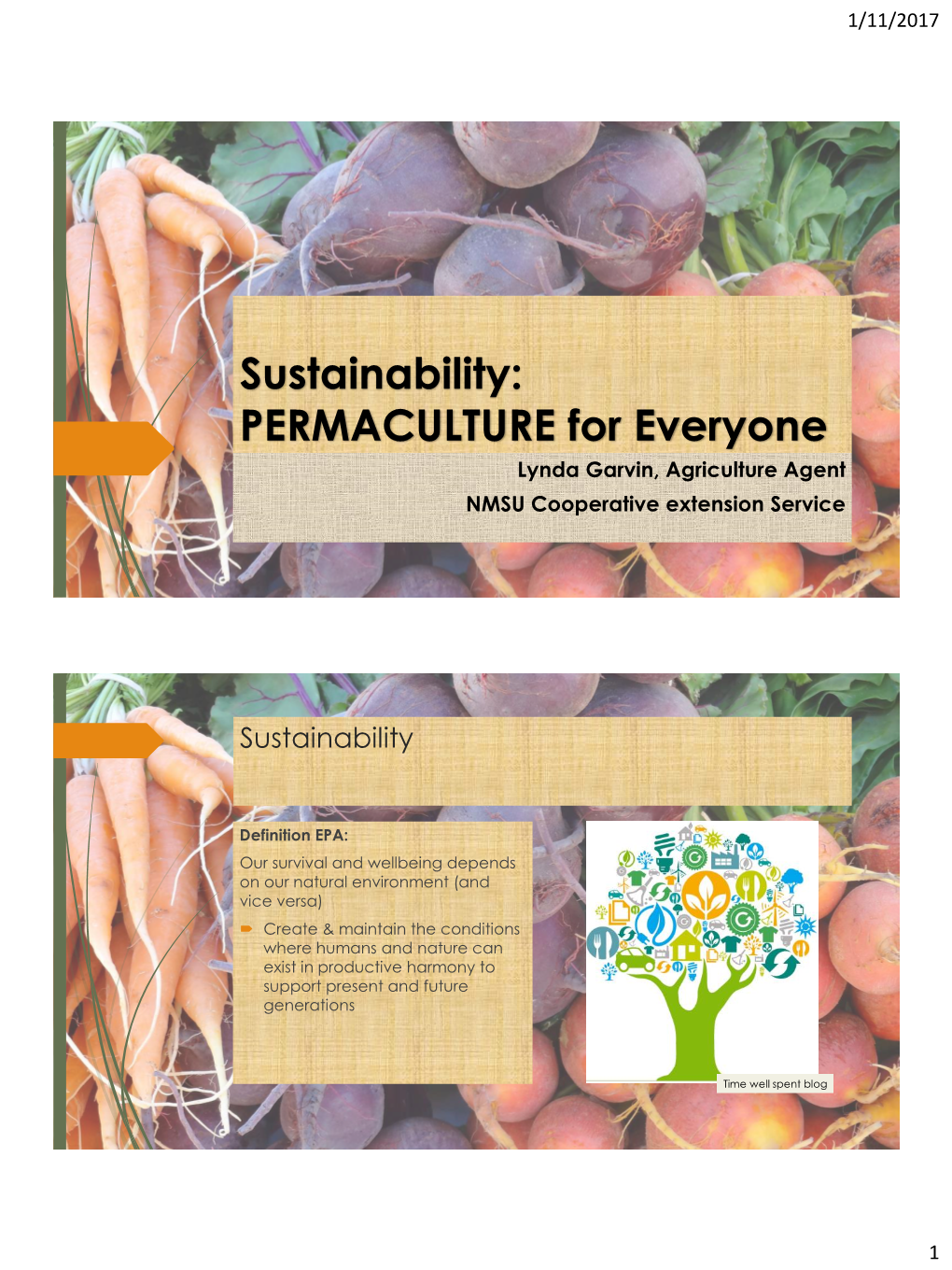 Permaculture Primer