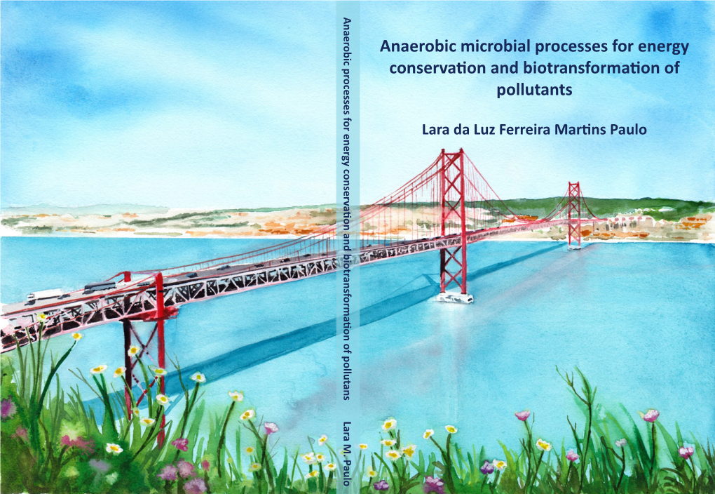 Anaerobic Microbial Processes for Energy Conservation and Biotransformation of Pollutants