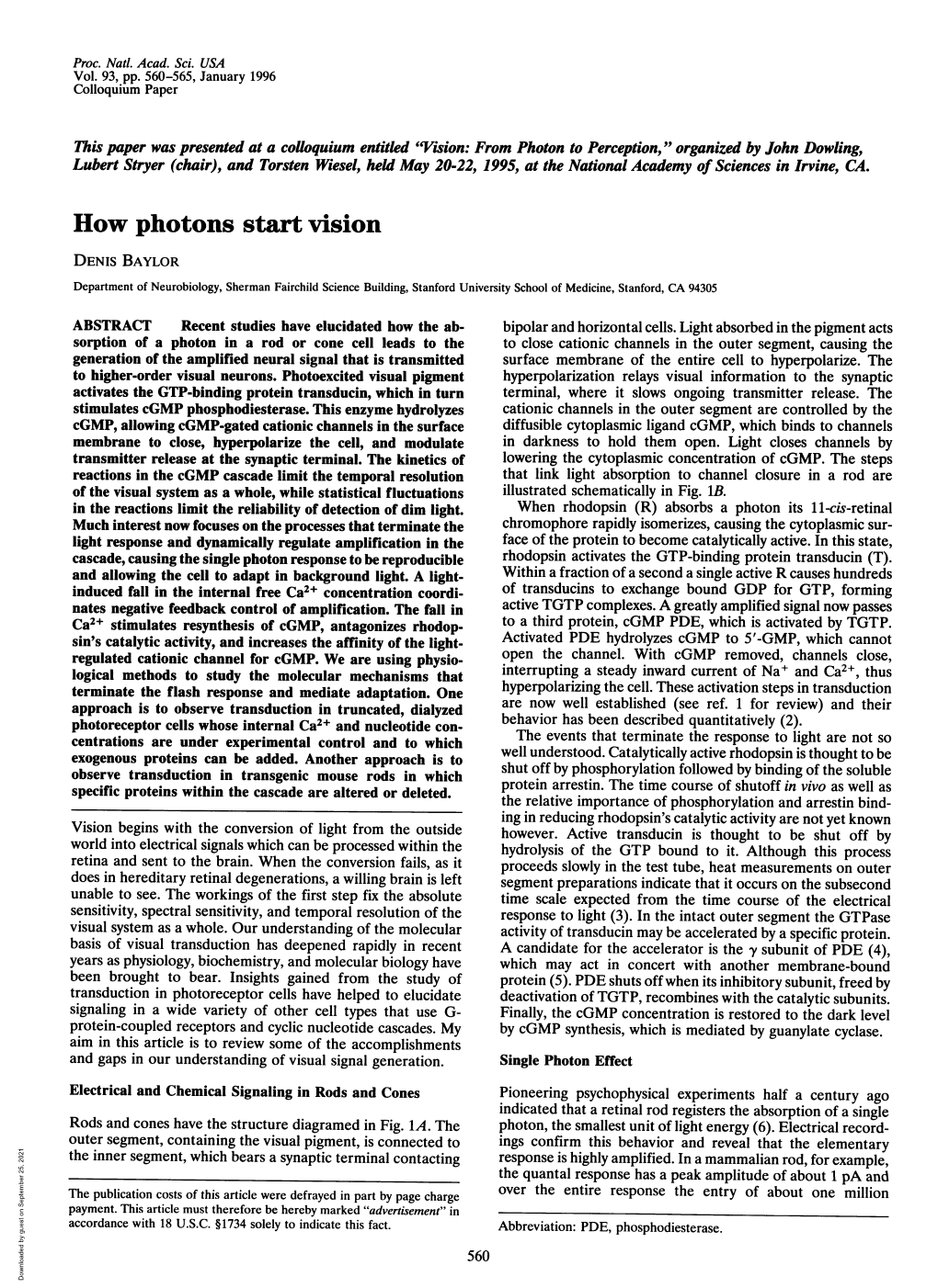 How Photons Start Vision DENIS BAYLOR Department of Neurobiology, Sherman Fairchild Science Building, Stanford University School of Medicine, Stanford, CA 94305