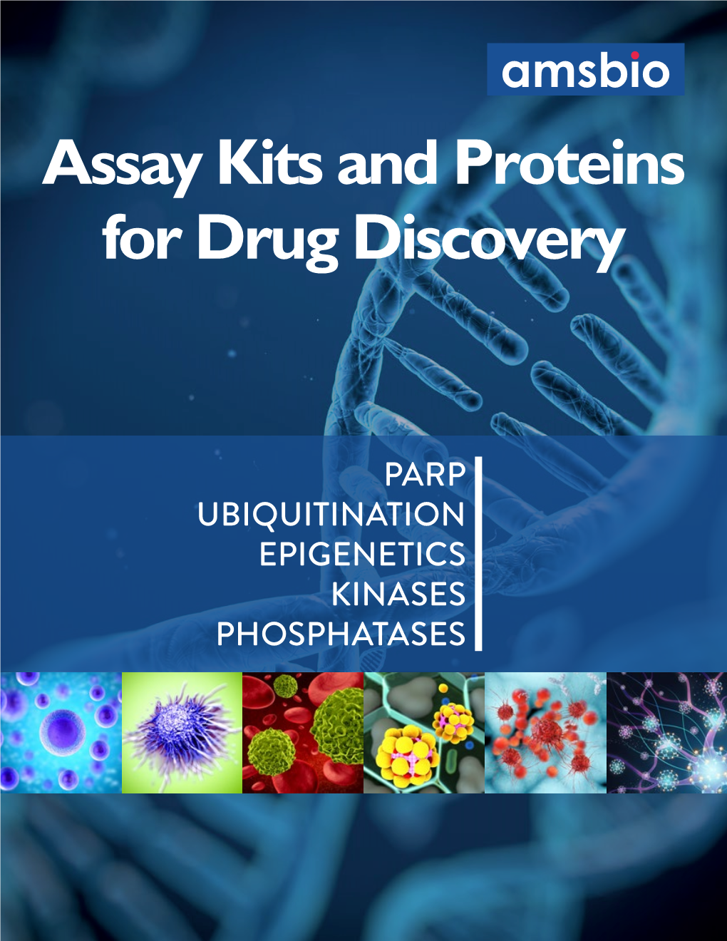 Assay Kits and Proteins for Drug Discovery