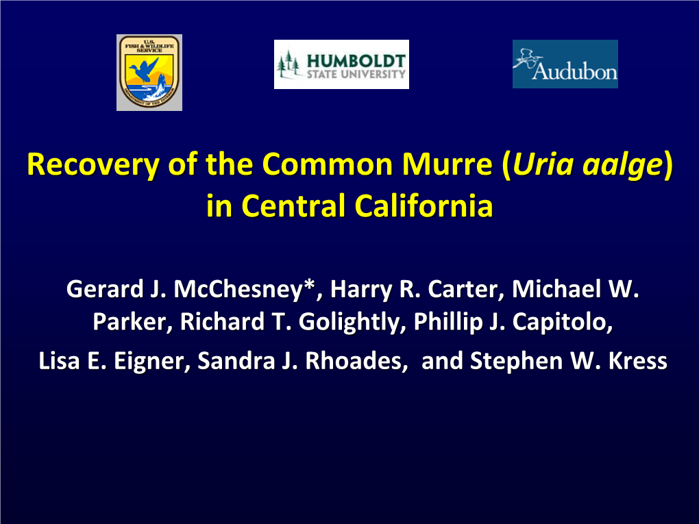 Recovery of the Common Murre (Uria Aalge) in Central California