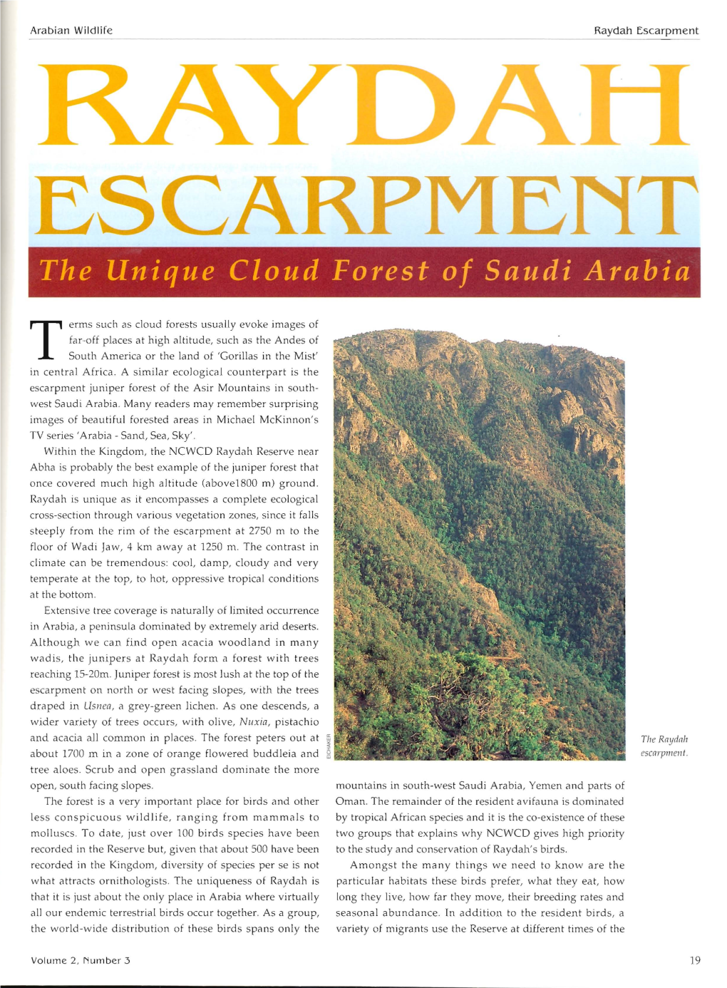 Raydah Escarpment. the Unique Cloud Forest of Saudi Arabia