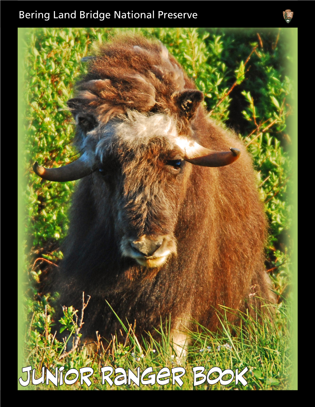 Bering Land National Preserve Junior Ranger Book