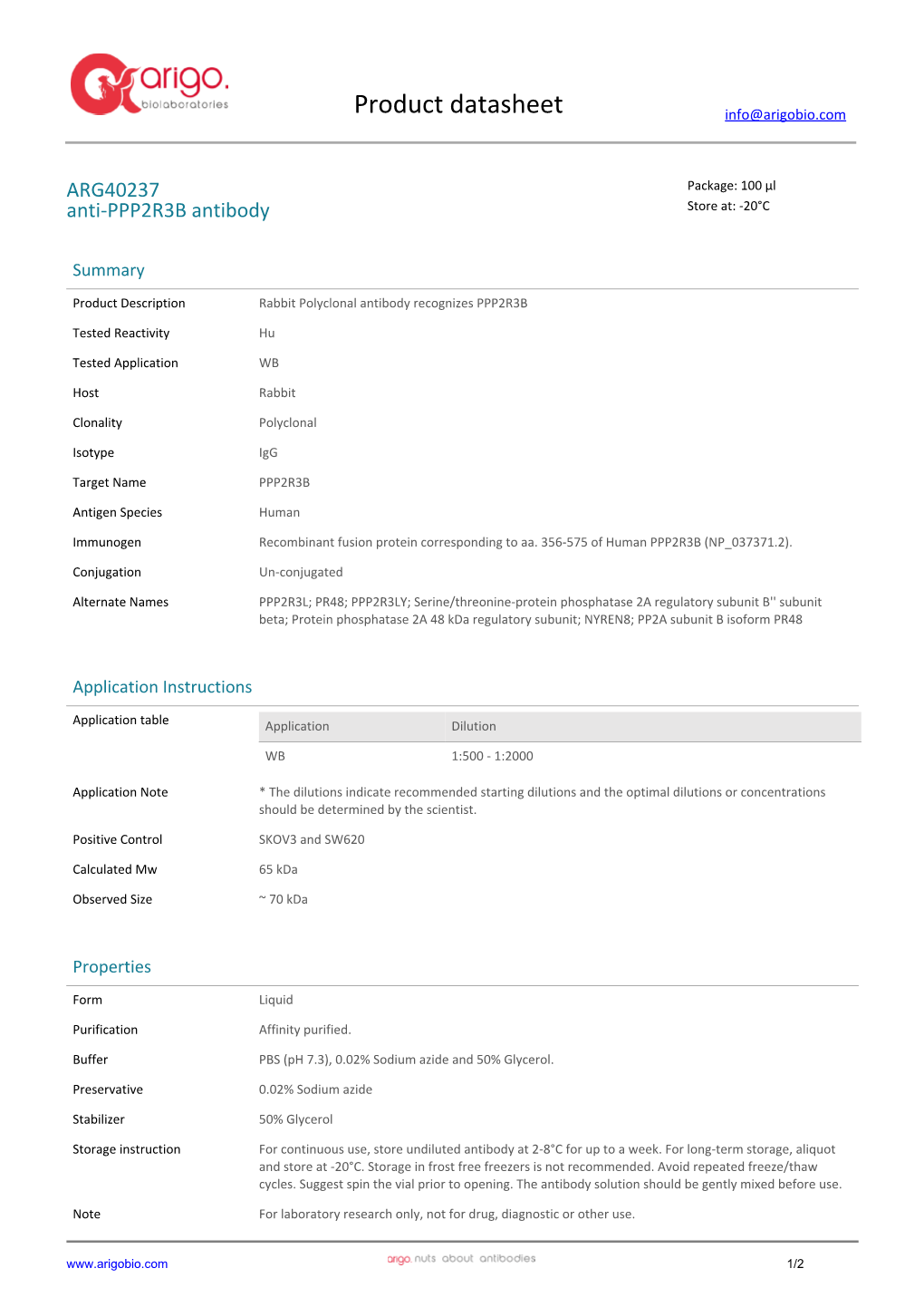 Anti-PPP2R3B Antibody (ARG40237)