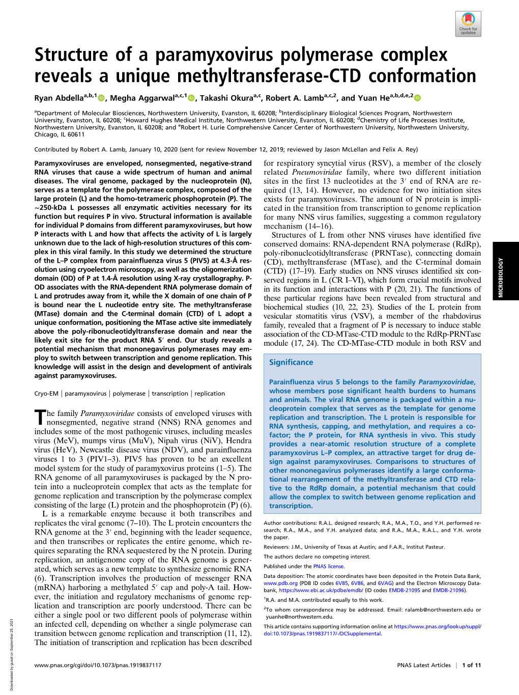 Structure of a Paramyxovirus Polymerase Complex Reveals a Unique Methyltransferase-CTD Conformation