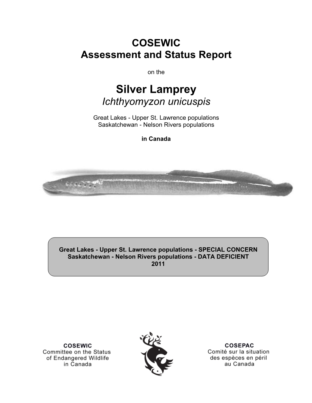 Silver Lamprey (Ichthyomyzon Unicuspis) Is an Eel-Shaped Fish That Possesses a Sucking Disc Mouth