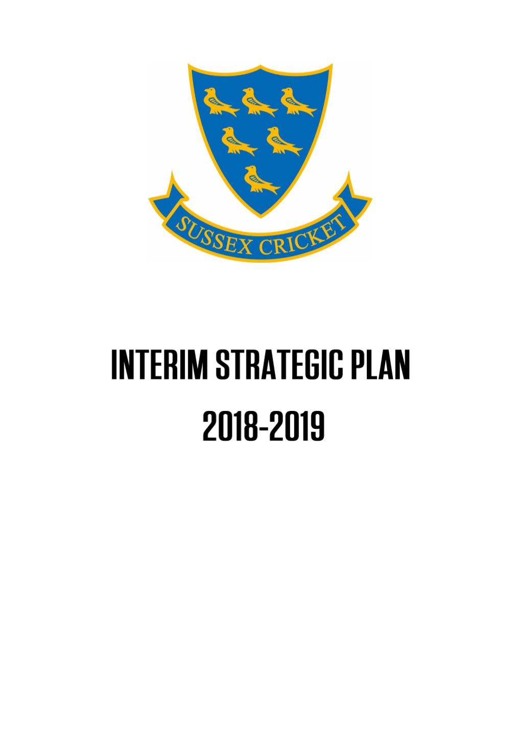 Sussex Cricket Interim Strategic