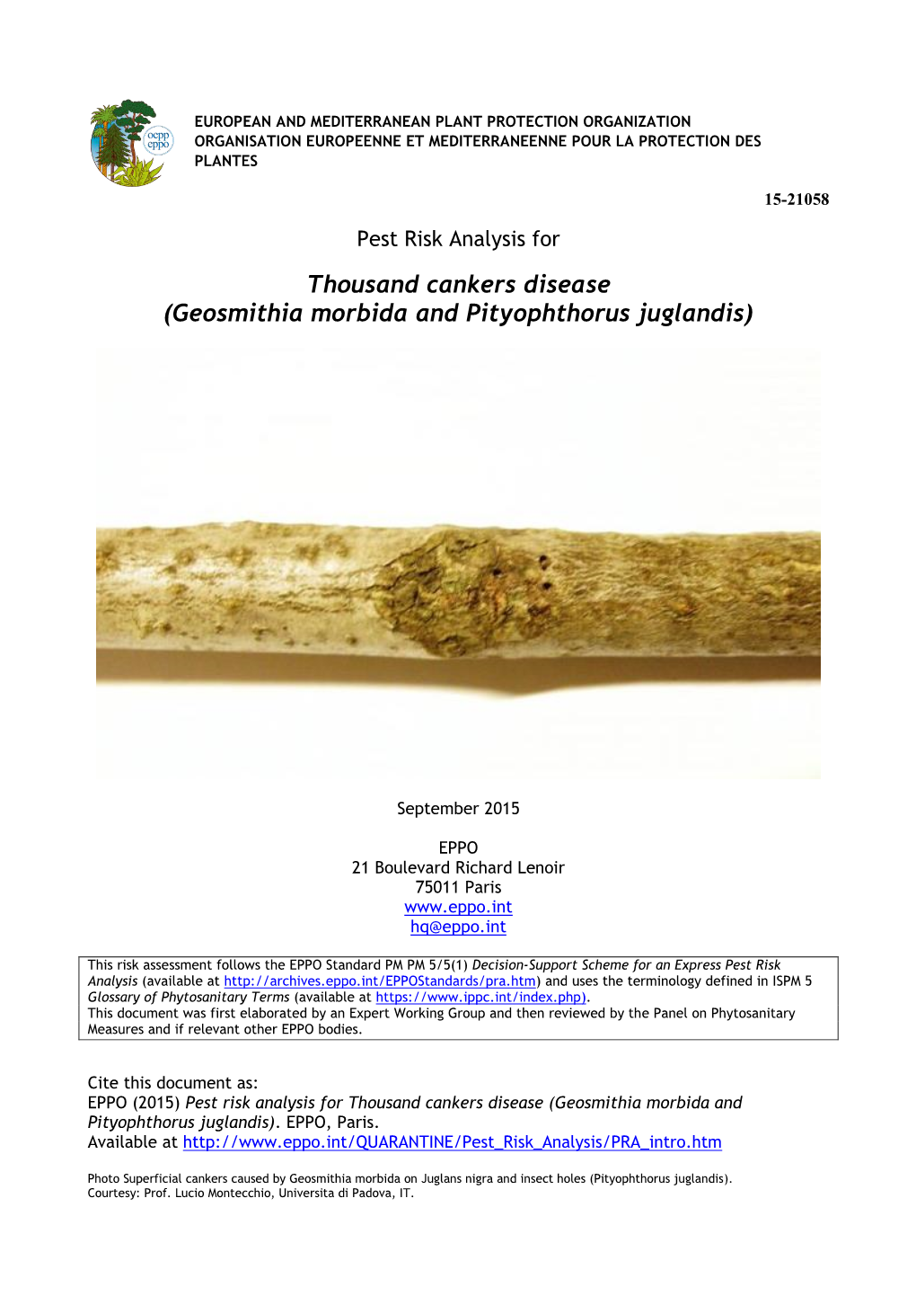 Pest Risk Analysis for Thousand Cankers Disease (Geosmithia Morbida and Pityophthorus Juglandis)