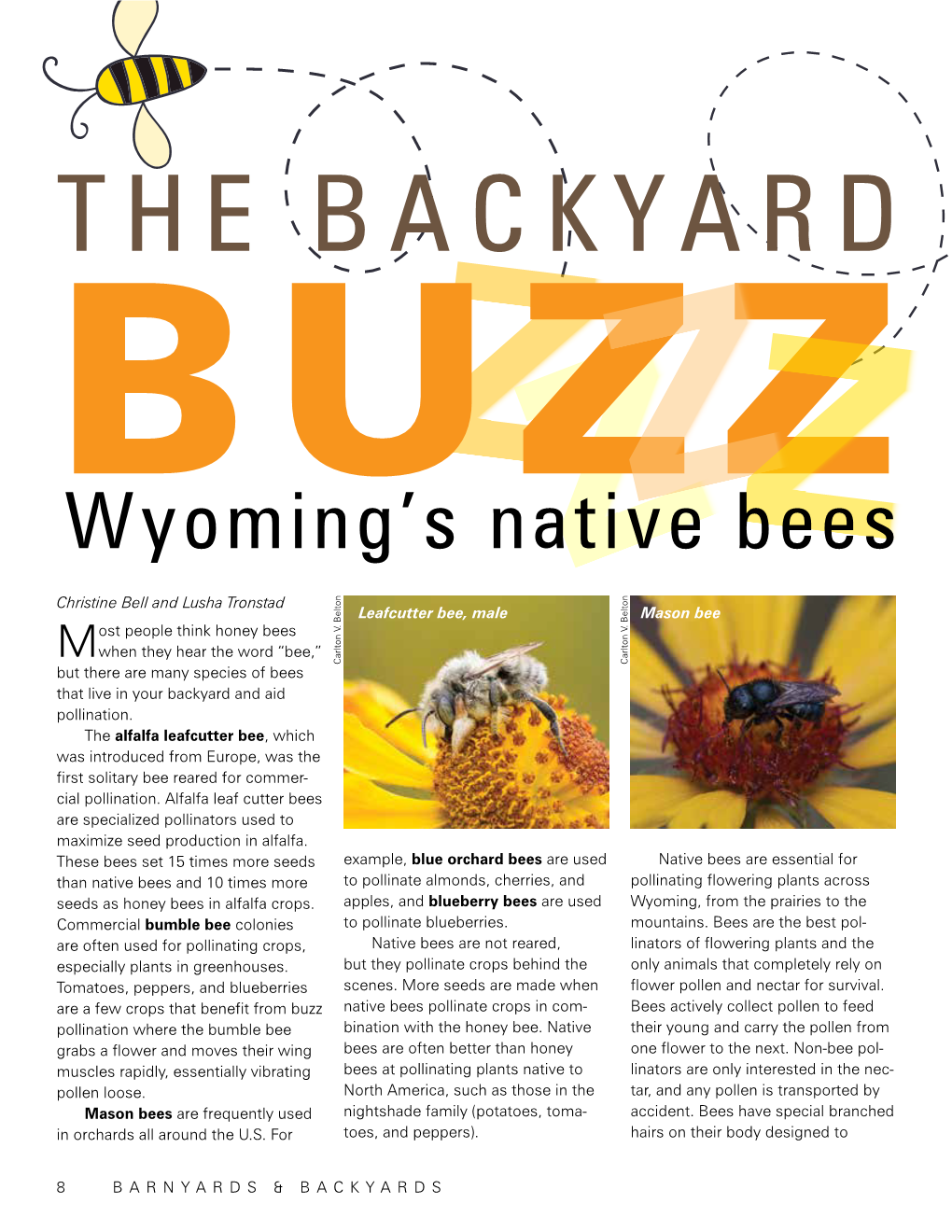 Wyoming's Native Bees