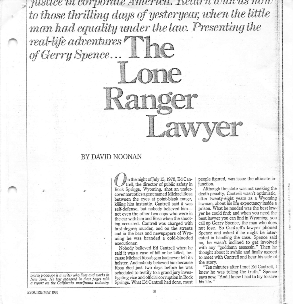 The Lone Ranger Lawyer