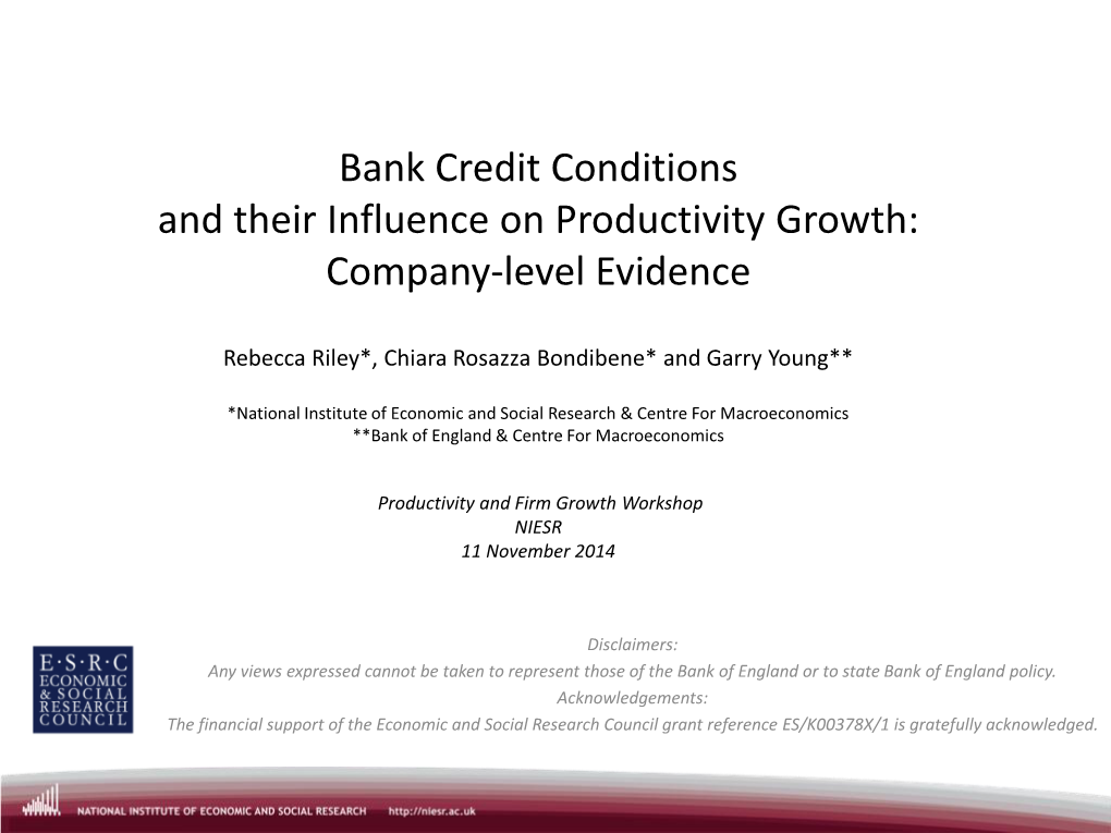 Bank Credit Conditions and Their Influence on Productivity Growth: Company-Level Evidence