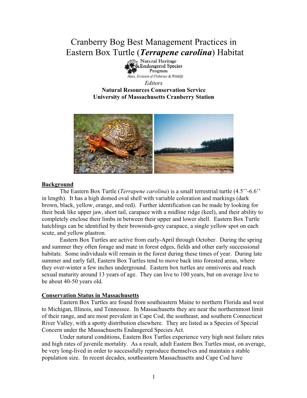 Cranberry Bog Best Management Practices in Eastern Box Turtles