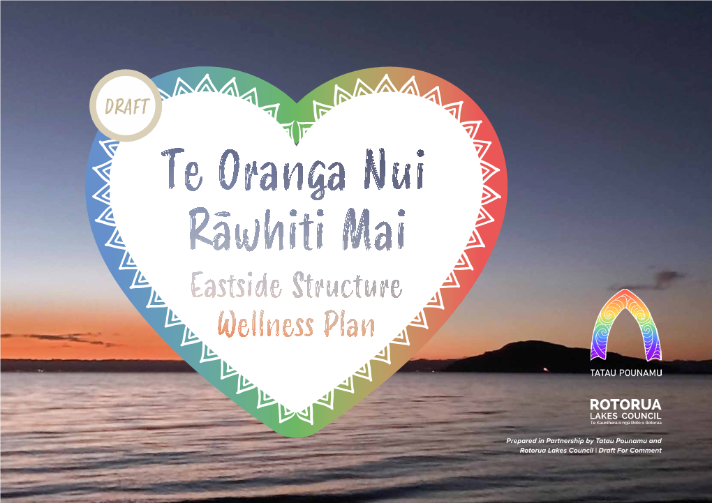 Prepared in Partnership by Tatau Pounamu and Rotorua Lakes Council