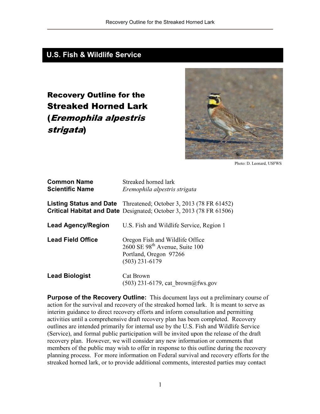 Recovery Outline for the Streaked Horned Lark