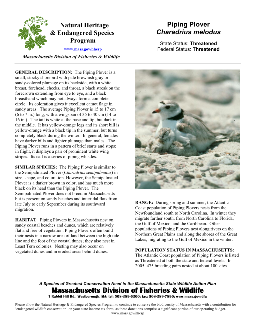 Piping Plover Nesting Areas