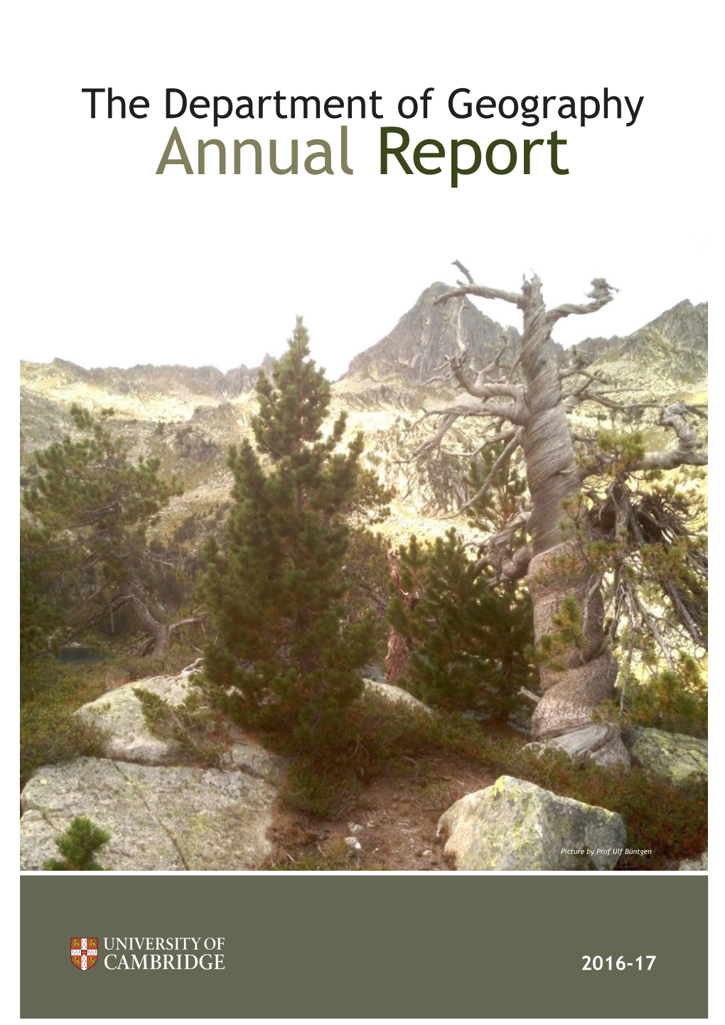 Annual Report