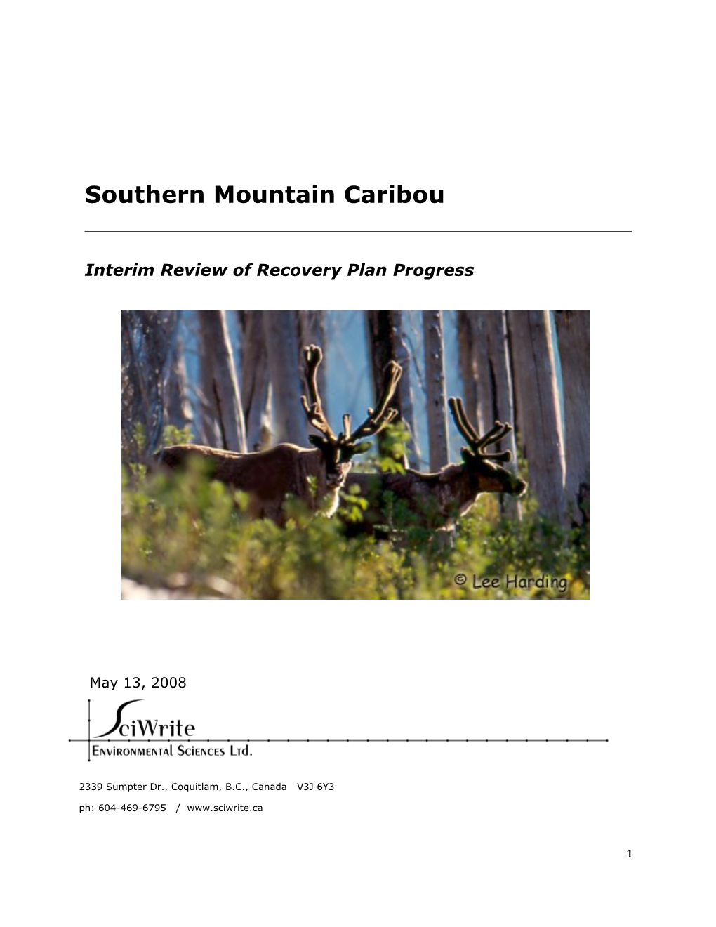 Southern Mountain Caribou