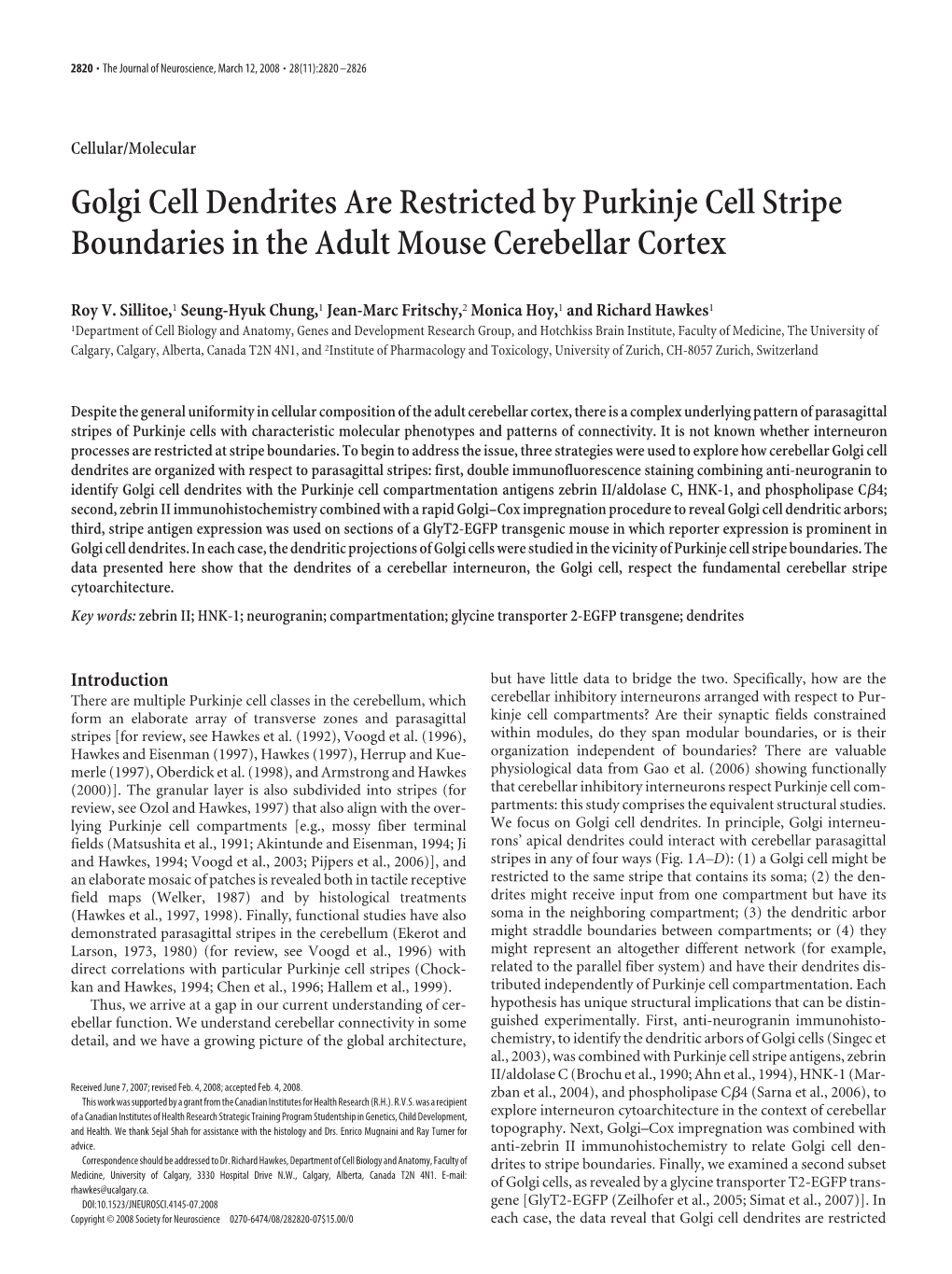 Golgi Cell Dendrites Are Restricted by Purkinje Cell Stripe Boundaries in the Adult Mouse Cerebellar Cortex