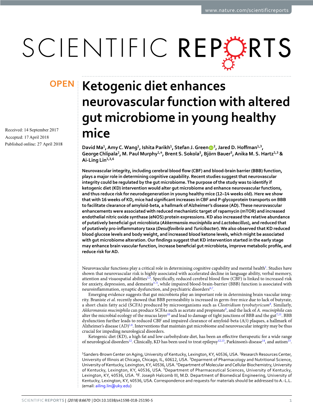 Ketogenic Diet Enhances Neurovascular Function with Altered