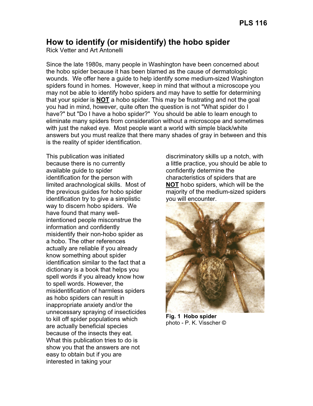 PLS 116 How to Identify Or Misidentify the Hobo Spider