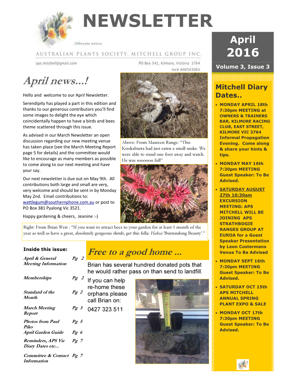 APS Mitchell Newsletter 2016.3.3 April