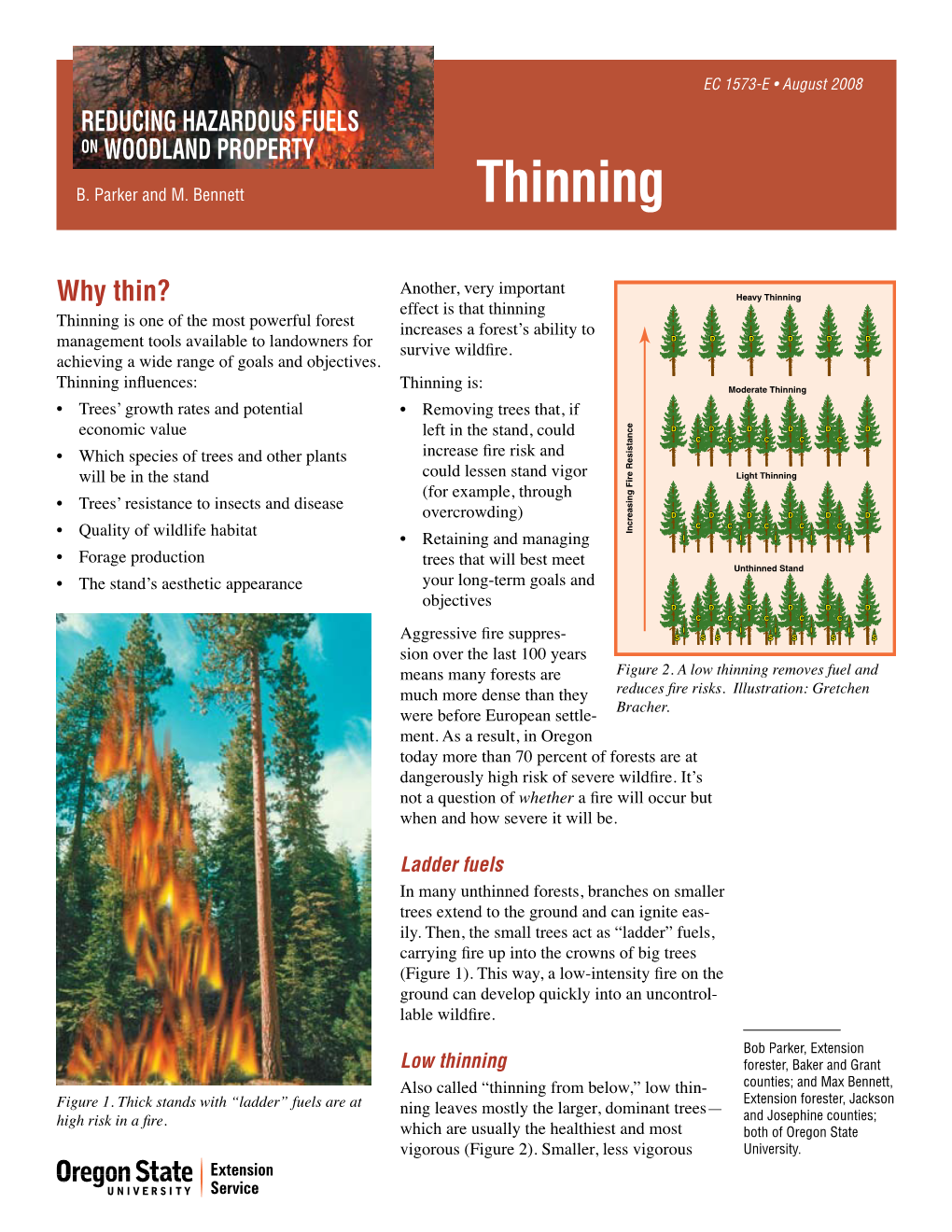 Reducing Hazardous Fuels on Woodland Property: Thinning Require You to Reduce the Slash