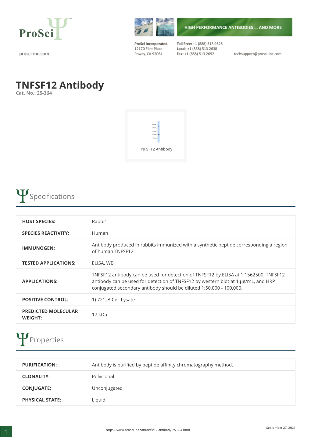 TNFSF12 Antibody Cat