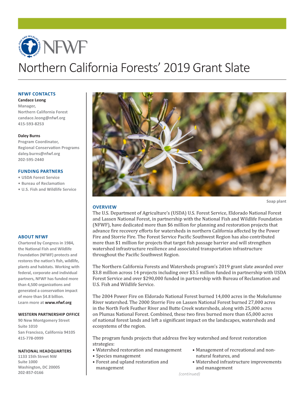 Northern California Forests' 2019 Grant Slate