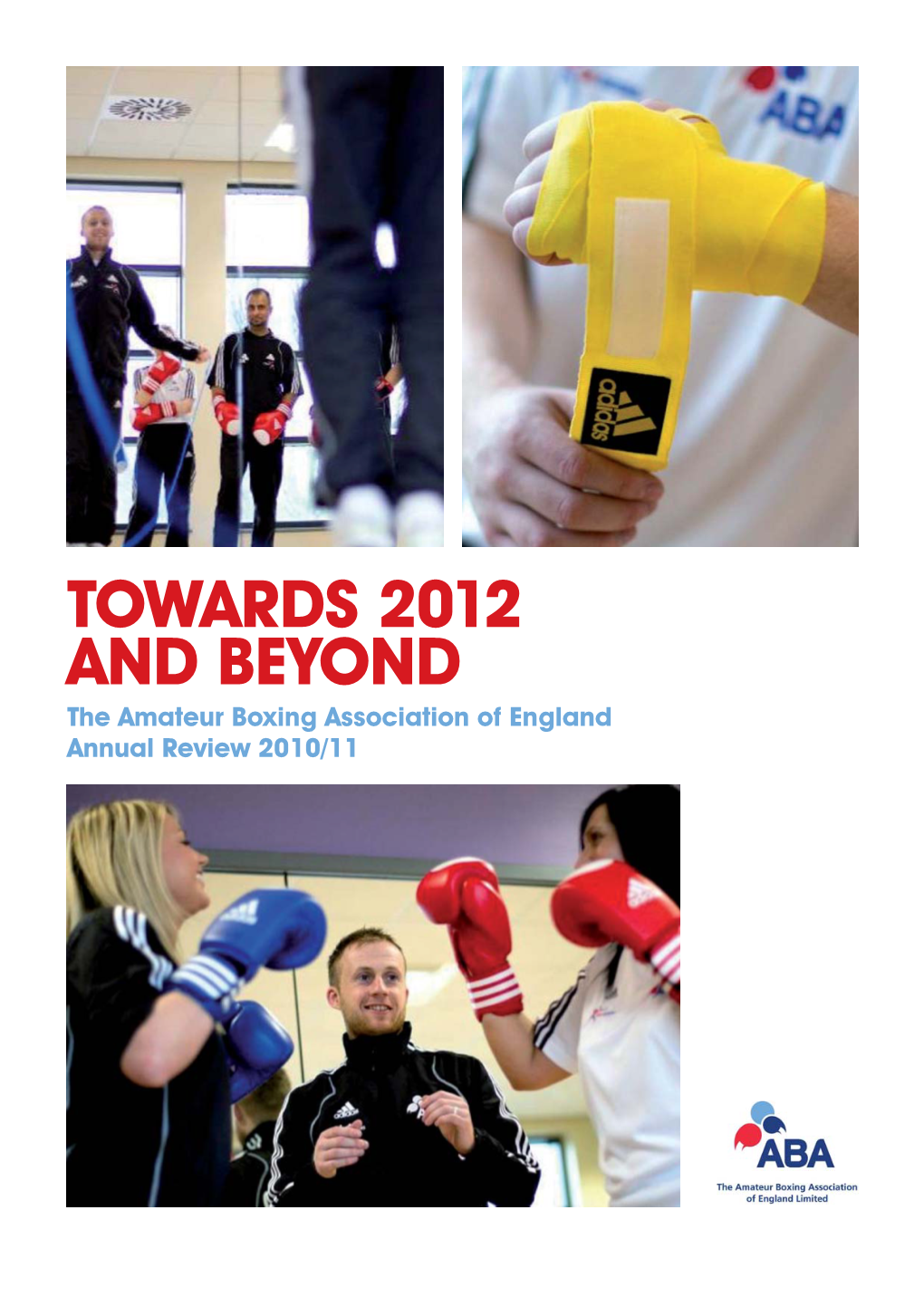 J43907 ABAE Annual Report.Indd