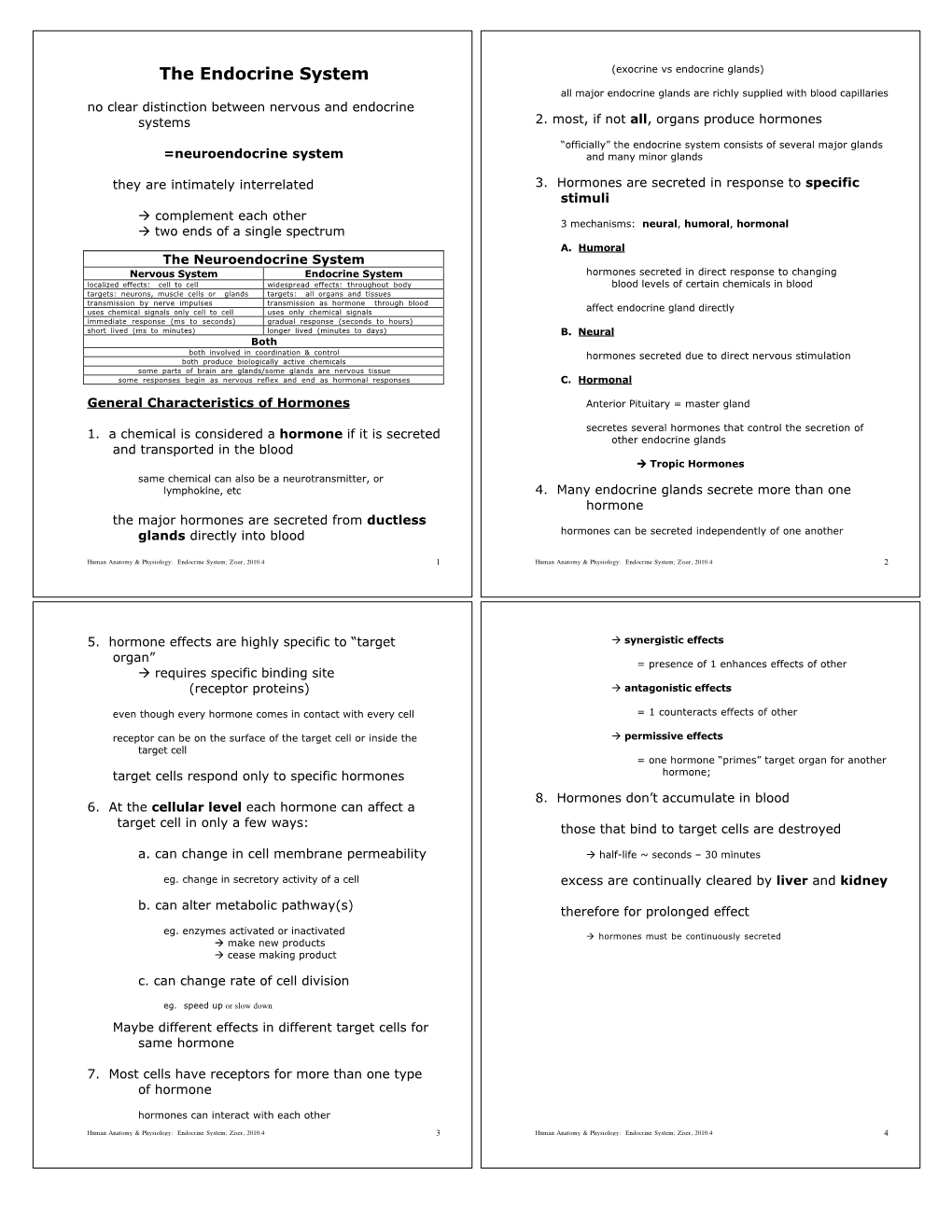 The Endocrine System