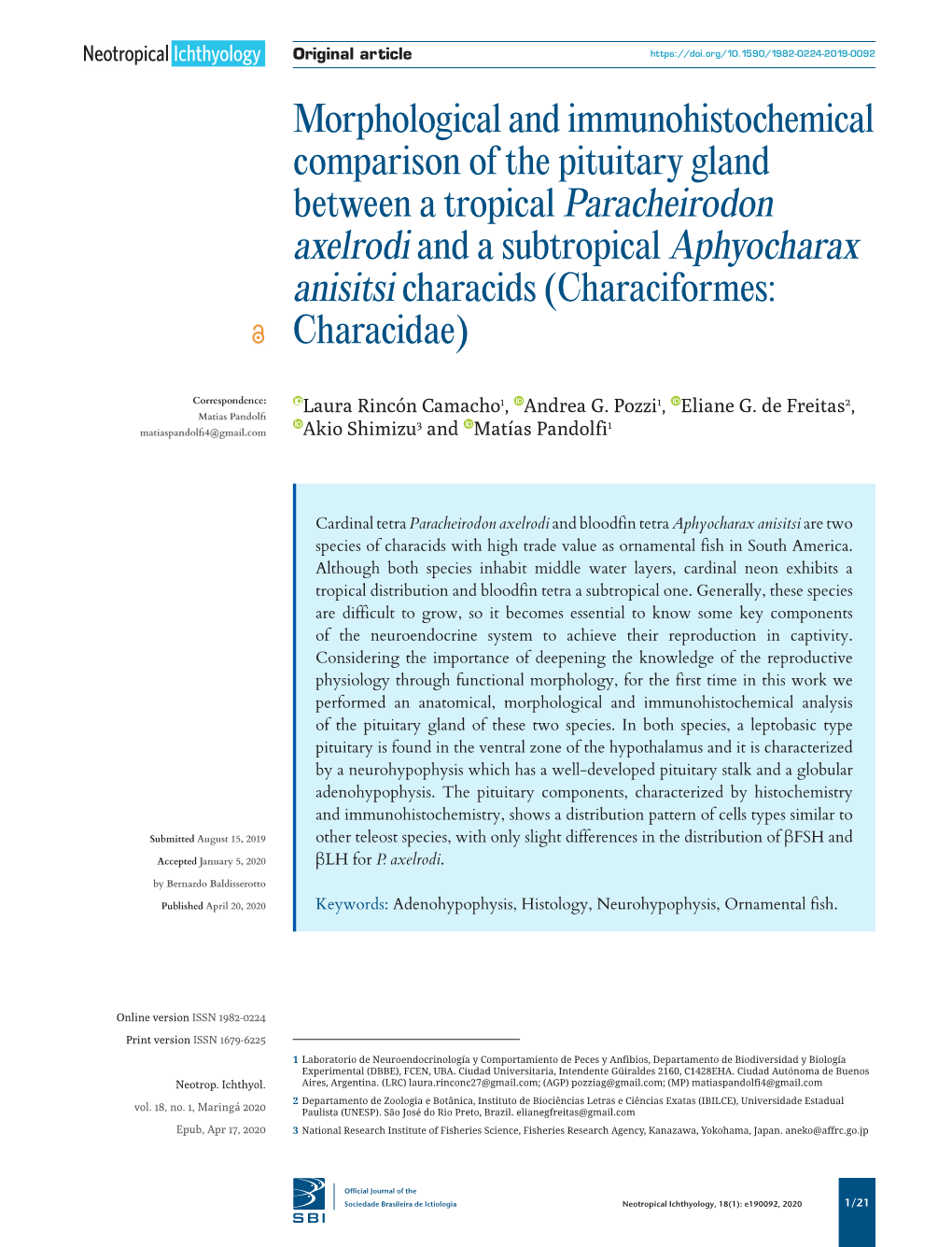 Morphological and Immunohistochemical