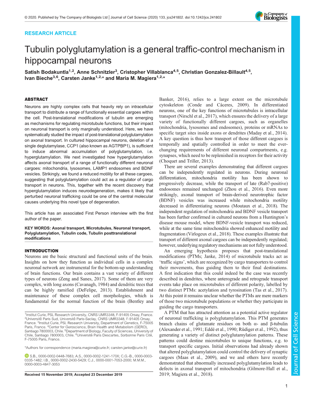 Tubulin Polyglutamylation Is a General Traffic-Control Mechanism In