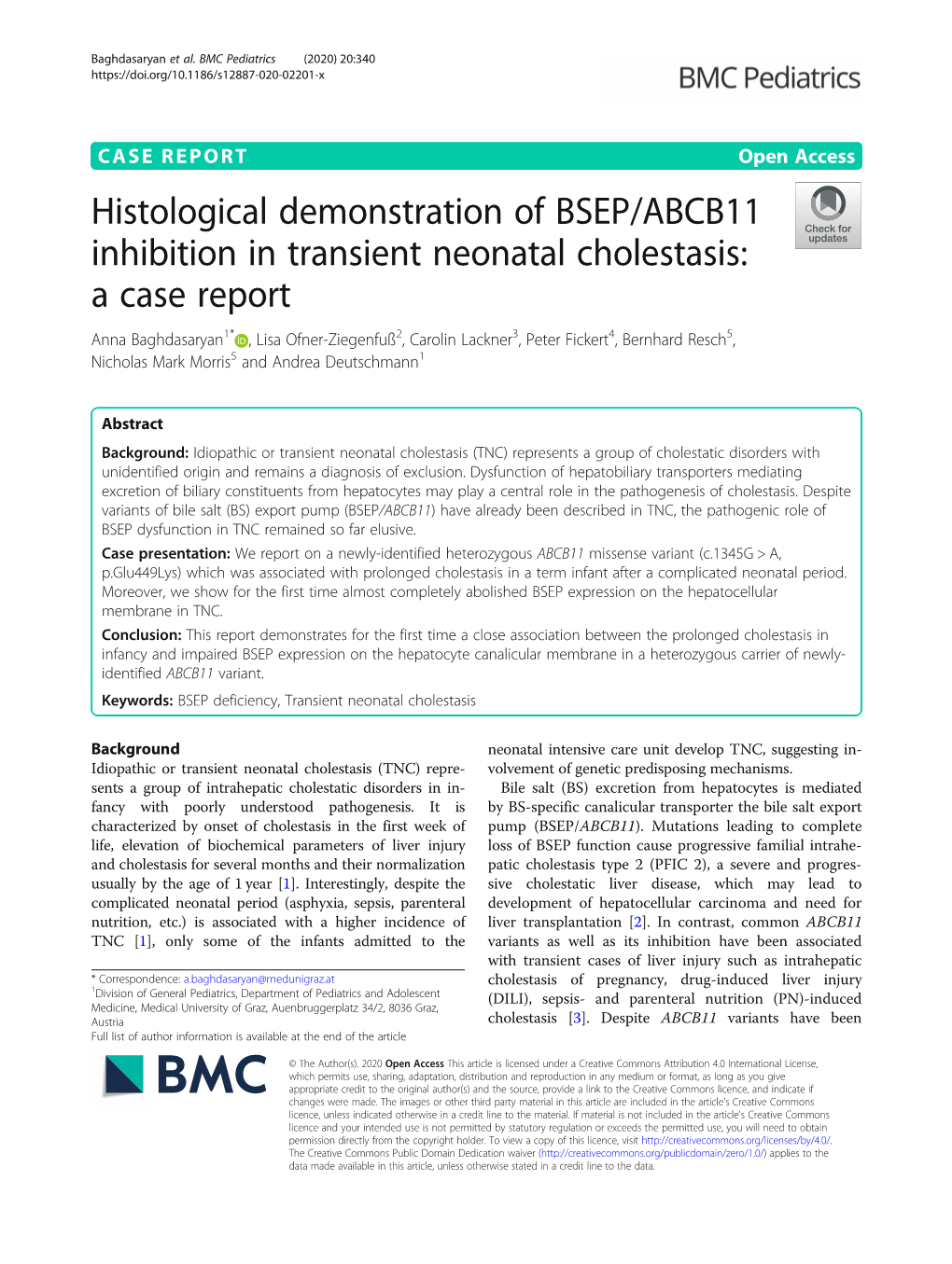 Histological Demonstration of BSEP/ABCB11 Inhibition In