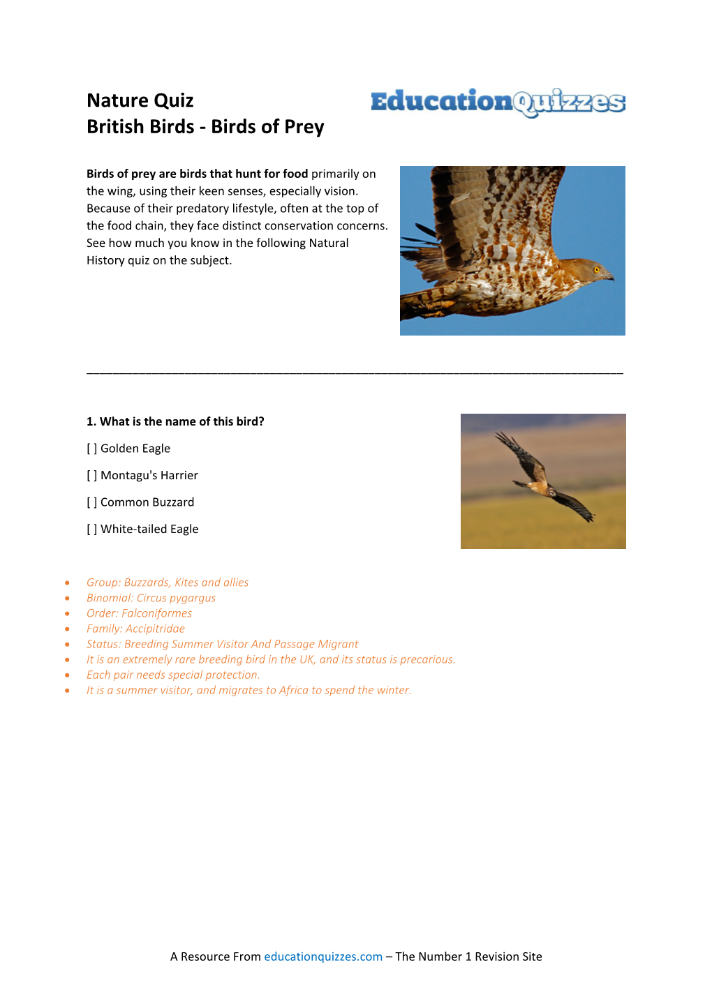 Nature Quiz British Birds Birds of Prey